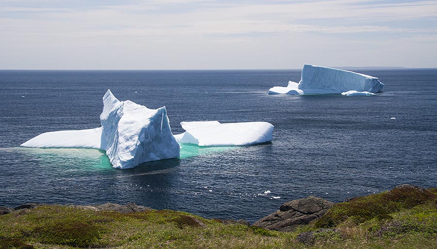 Icebergs off Fishing Point in St. Anthony